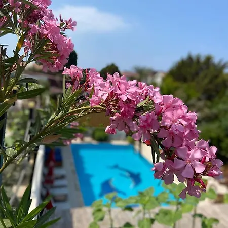 On ホテル