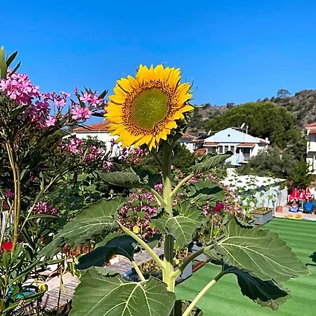 On Hotel Oludeniz