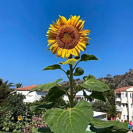 On