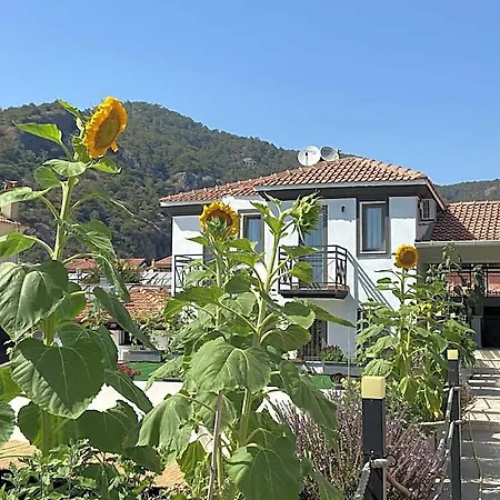 On Oludeniz